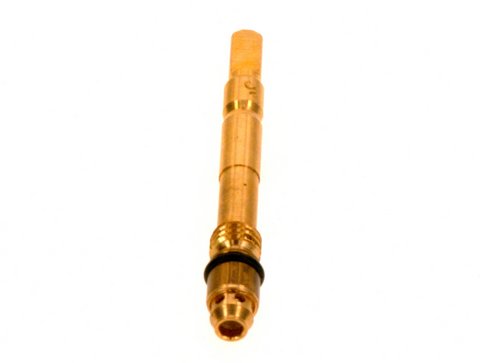 Bosch Wählerschraube 87085001650