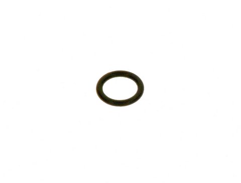 Bosch O-Ring Set für Warmwasserfühler 7100108