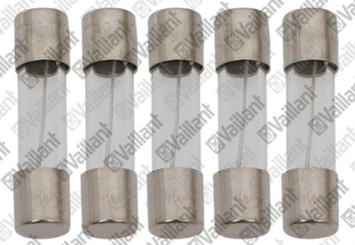 Vaillant Sicherung Glas (5 Stück) für eloBLOCK VE6-28/R2 0020230840