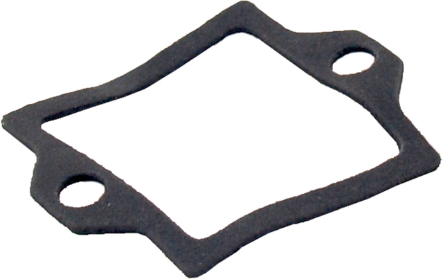 Wolf Dichtung Prüfnippel für CGB 390316799