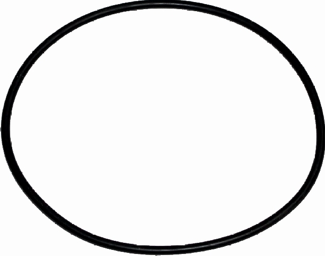 Wolf O-Ring Dichtung 110x3,5 für Gasbrennwertkessel 3910140