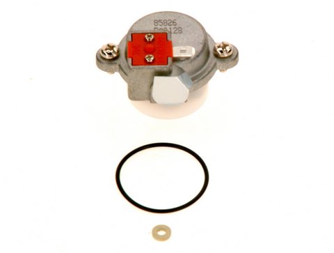 Bosch Zündgasventil 8738724155