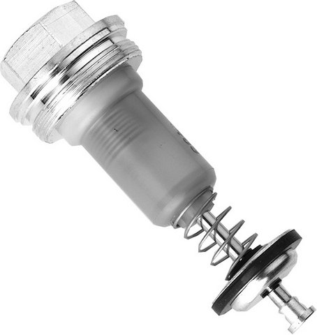 Bosch Magneteinsatz 87072010120