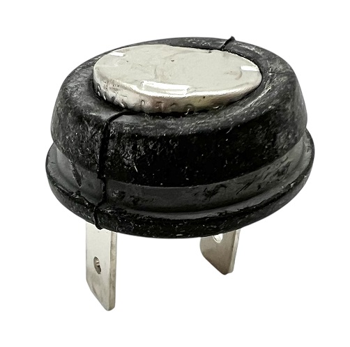 Bosch Temperaturbegrenzer C2 8718600182