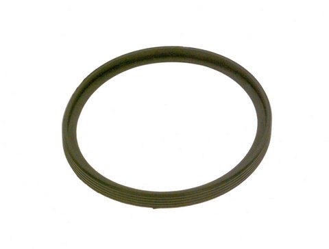 Bosch Dichtung d:80 87110042570