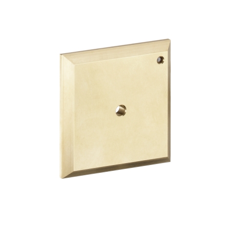 Hansgrohe Spülplatte iControl manuell 15956000