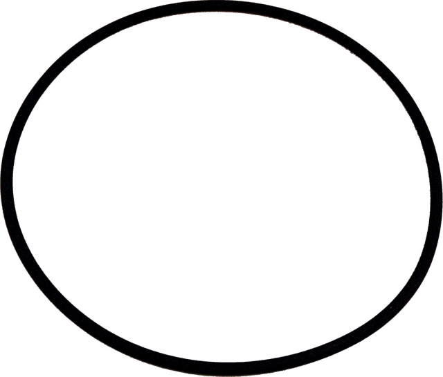Wolf O-Ring 132 x 4 Viton für COB 8905738
