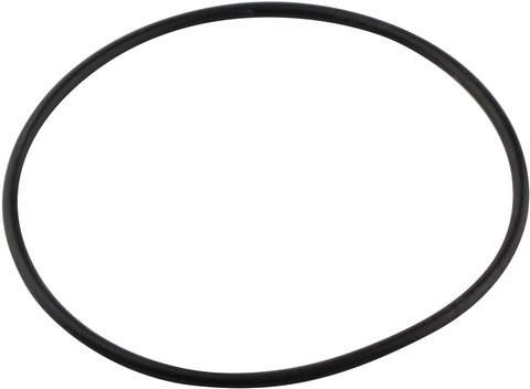 Bosch O-Ring Filter D95mm 1 Stück 7098652