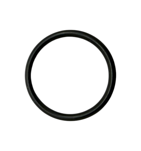 Hansa O-Ring 20x2 59912435