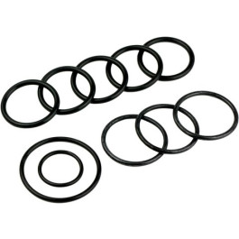 Bosch Dichtungssatz O-Ring V1 #5354969