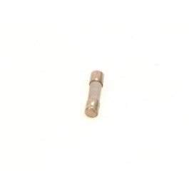 Bosch Sicherung 2,5 Ampere je 10 Stück 7098442