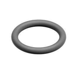 Bosch O-Ring 10 Stück 87002050870