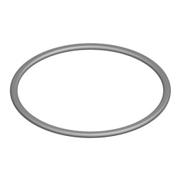 Bosch O-Ring 10 Stück 87002051200