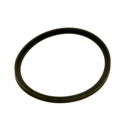 Bosch Dichtung d:100 #87110043000