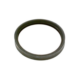 Bosch Dichtung d:100 #87110043030