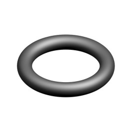 Bosch O-Ring 10 Stück 87161034930
