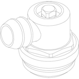 Bosch Entlüftungsventil 87174052850