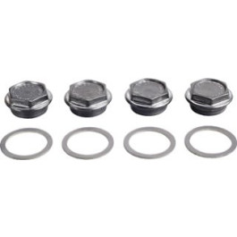 Bosch Dichtstopfen G 1 1/2 Zoll 4 Stück 8718544963