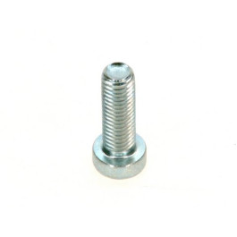 Bosch Zylinderschraube DIN7984 M8x25 8.8 A3K 8718584683