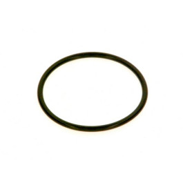 Bosch O-Ring Armatur V44 #8718584784