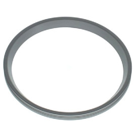 Bosch Lippendichtung DN160 8737713334