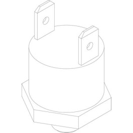 Bosch Temperaturbegrenzer 87379033990