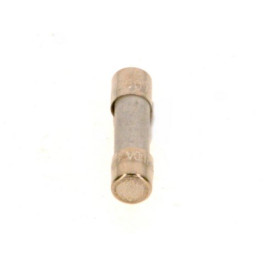 Bosch Sicherung 10A 10 Stück 8738803397