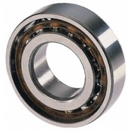 Buderus Schrägkugellager 7202 2RS 87182217210
