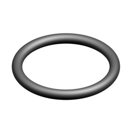 Buderus O-Ring 21 89x2 62 70EPDM 5 Stück für GB125, für Wärmetauscher V3 87185703570