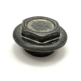 Buderus Stopfen G 1 für GB125, G124, für Kesselblock Grundausstattung 8718584633