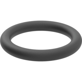 Geberit O-Ring aus EPDM für Panzerschlauch 241.487.00.1
