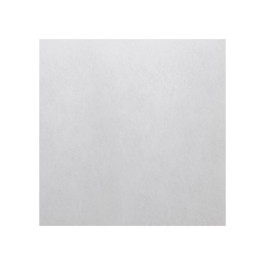 Helios Ersatz-Luftfilter ELF 200 # 00737 zu LF 200