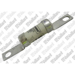 Vaillant Sicherung für VWL 115/2 A 230V # 0020175834