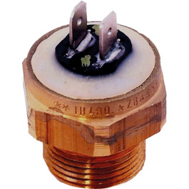 Wolf Sicherungsthermostat Pumpe 95C für BVG-23/30 2744658