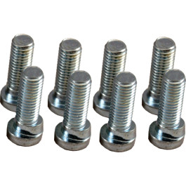 Wolf Schraube verdrehsicher M10x30 für SE 3450966