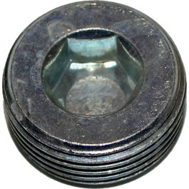 Wolf Verschlußschraube 3/4'' SW12 DIN906, für MGK 5900200