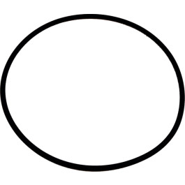 Wolf O-Ring 132 x 4 Viton für COB 8905738