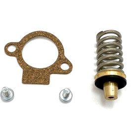 Vaillant Wassermangelventil, 3P 50mbar 0010026266
