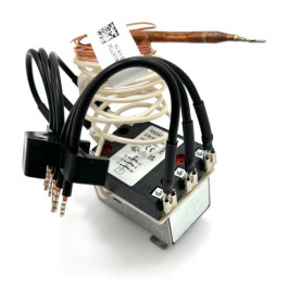 Vaillant Sicherheitstemperaturbegrenzer (STB) 0020269373