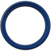 Bosch Lippendichtung DN100 #7096480