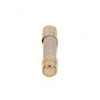 Bosch Sicherung 10A 10 Stück 8738803397