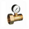 Grünbeck Manometer zur Betriebsdruckanzeige, Anschluss R1'' 100860
