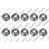 Vaillant Mutter (10 Stück) 0010034387