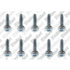 Vaillant Schraube, (10 Stück) 0010034866