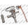 Vaillant Ventil ExpansionThermostat 10-14 kW VWL 101/3 S VWL 102/3 S
