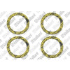 Vaillant Rechteckdichtring 1 1/2 4 Stück zu VWL 141-171/3 S VWL 61-101/3 S 0020038759