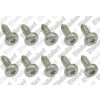 Vaillant Schraube 10 Stück für MAG 11+14-2/0 # 0020073877