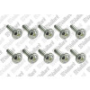 Vaillant Schraube VC 146-316/5-5 R, 10 Stück 0020133828