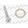 Vaillant Schraube für Gas-Durchlaufwasserheizer MAG 6 0/0 XI 0020135533