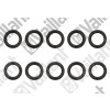 Vaillant O-Ring 10 Stück für VWL 35/4 S 230V # 0020150055